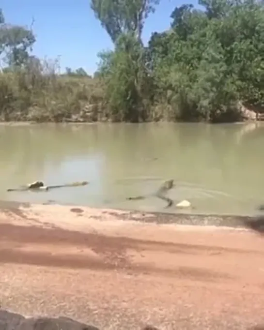 Видео от Мечта хозяйки