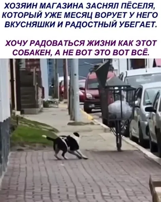 Видео от Мечта хозяйки