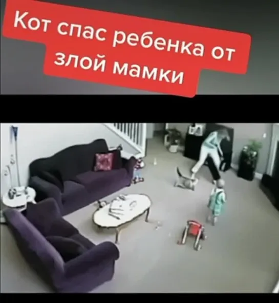 Видео от Мечта хозяйки