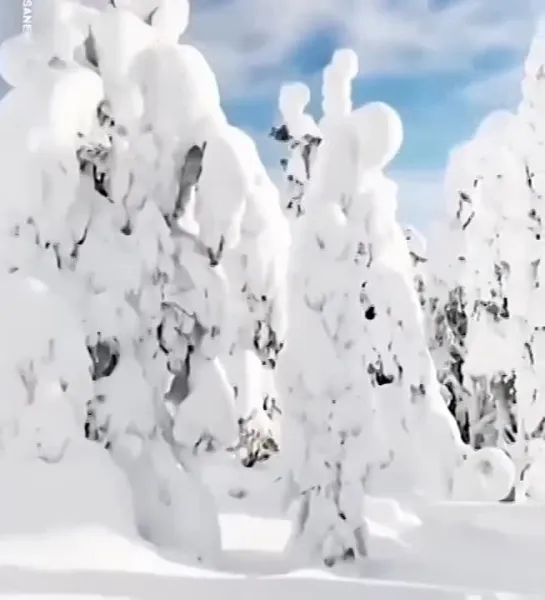 Видео от Мечта хозяйки