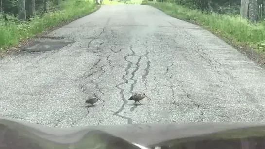 Видео от Мечта хозяйки