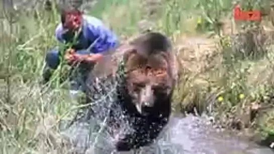 Видео от Мечта хозяйки