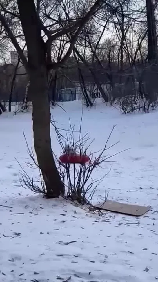 Видео от Мечта хозяйки