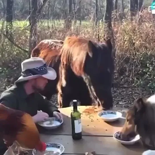 Видео от Мечта хозяйки