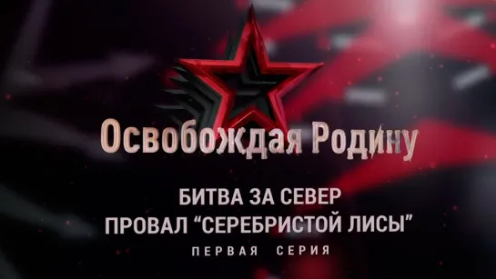 «Освобождая родину». Битва за Север. Провал «Серебристой лисы». 1-я серия. (2019)