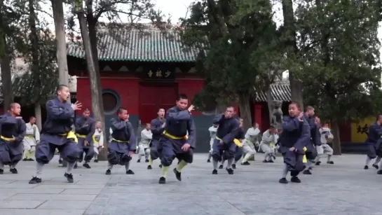 Групповое исполнение Шаолинь Цисин Цюань SHAOLIN QI XING QUAN