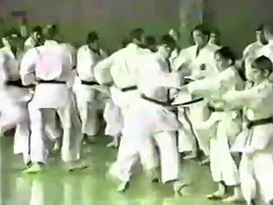 Семинар по Шотокан Каратэ - Хитоши Касуе (Shotokan Karate Seminar - Hitoshi Kasuya)