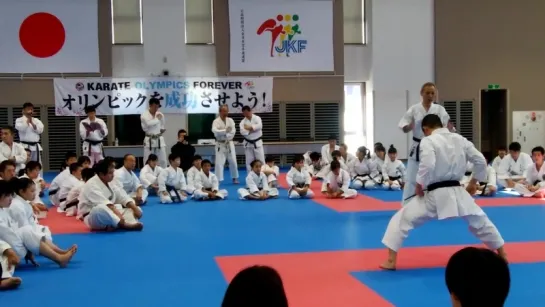 2017 JKF seminar Shotokan Heiansandan-Heiangodan 全空連流派別講習会 松濤館基本形