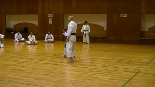 JKF 平安初段 Heian shodan Seminar by Noboru Kato 2017-05-20@Nagaoka 全空連基本形三