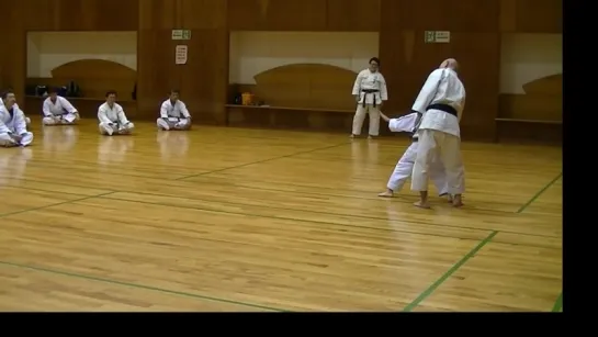 JKF 平安二段 Heian nidan Seminar by Noboru Kato 2017-05-20@Nagaoka 全空連基本形三