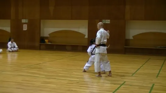 JKF 平安三段 Heian sandan Seminar by Noboru Kato 2017-05-20@Nagaoka 全空連基本形三