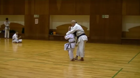 JKF 平安四段 Heian yondan Seminar by Noboru Kato 2017-05-20@Nagaoka 全空連基本形三