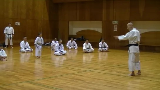 JKF 全空連基本形 Heian Seminar by Noboru Kato 2017-05-20@Nagaoka