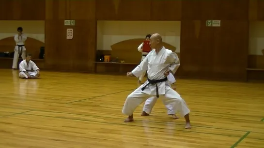 JKF 平安五段 Heiangodan Seminar by Noboru Kato 2017-05-20@Nagaoka 全空連基本形三