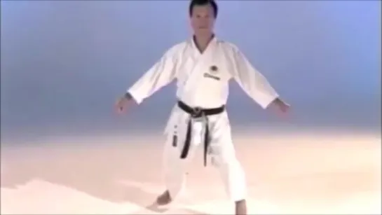 Sensei Keinosuke Enoeda the Shotokan Tiger, 榎枝 慶之輔