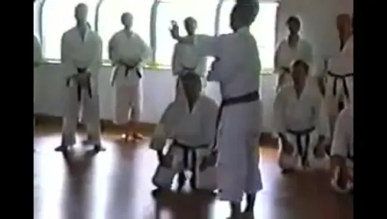 Sensei Nishiyama Seminar 1994 and 1995 pt3