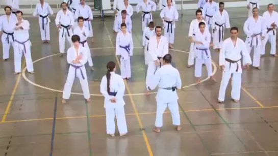 Yokota Kousaku karate Shotokan ASAI seminar in Campinas Brazil 2016