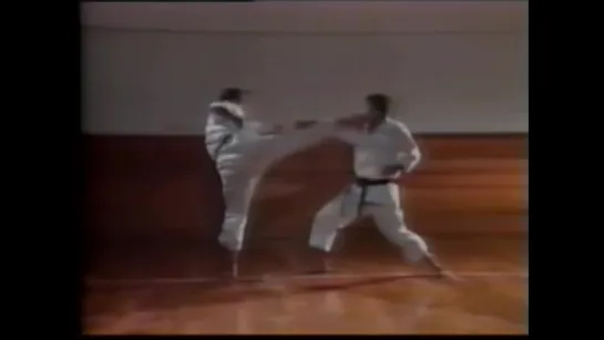 Masahiko Tanaka - Shotokan Karate Kumite instructional