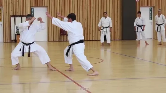 Seminar Karate Shotokan - Shirai Sensei 2015 Семинар по Шотокан Хироши Шираи