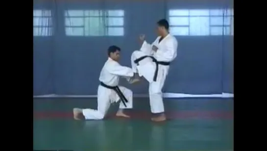 Kata Shotokan - Heian Shodan Nidan Sandan Yondan Godan - Bassai Dai (Bunkai) - Luca Valdes