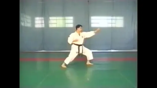 Shotokan Karate kata Luca Valdesi Tekki Shodan Nidan Sandan Unsu Jitte Kanku Sho