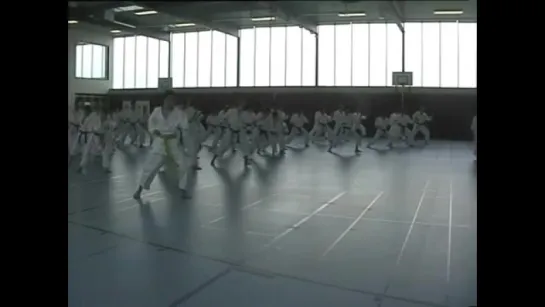 Shotokan karate Asai sensei