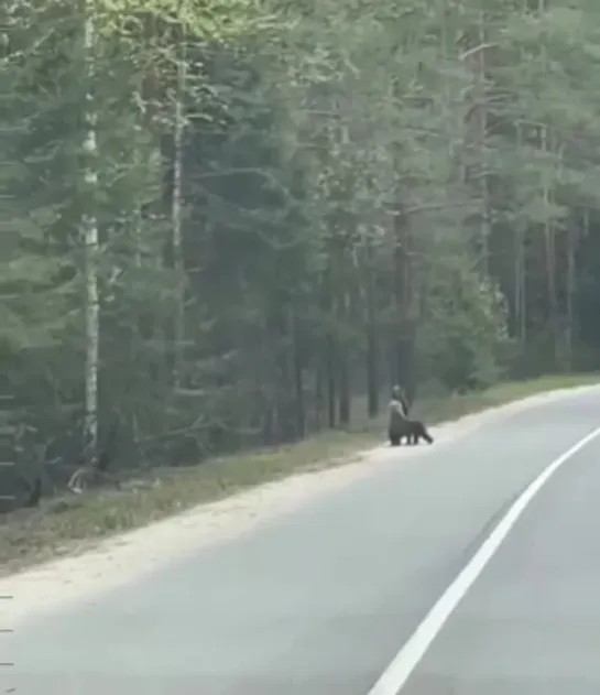 Видео от Нижний Новгород