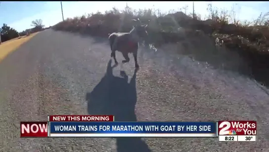 Woman trains for marathon with goat by her side