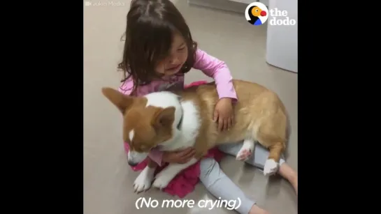 Corgi_and_Little Girl