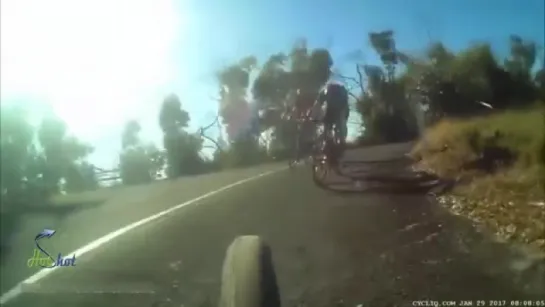 Kangaroo surprises cyclist  jumping out and clipping his helmet