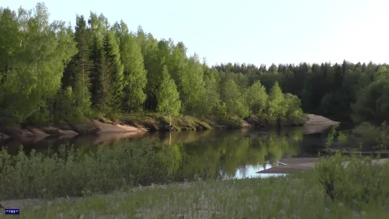 р.Кокшеньга ( 27.05.2019 )