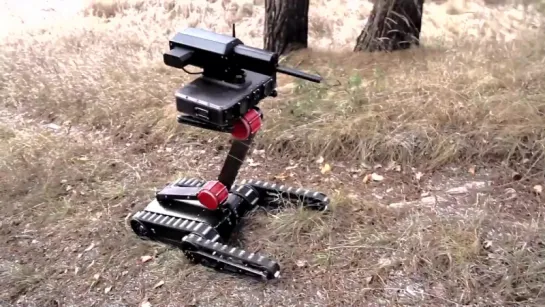 Lobaev Tactical Robot Minirex RS1A3