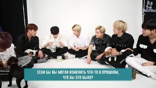 Monsta X отвечают на вопросы фанатов играя с пёсиками (рус.суб)