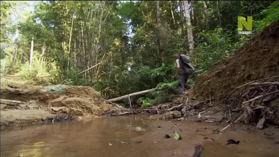 Экспедиция в Бирму / BBC - Wild Burma: Nature's Lost Kingdom 3 серия [ vk.com/StarF1lms ] ☆