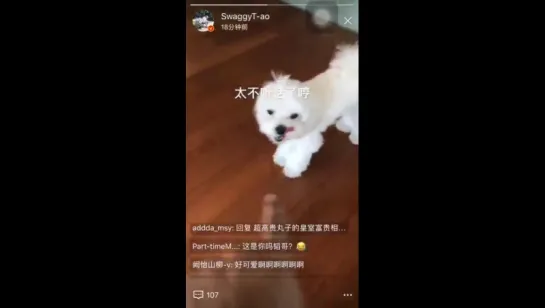 [VIDEO] 170423 Tao Weibo Story Update