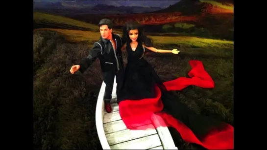 Breaking Free of the Box--Gerua pt 1 from Dilwale (an SRK doll tribute)