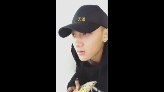 [VIDEO] 161121 Tao Instastory Update 7