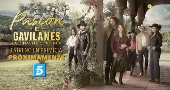 Pasion de gavilanes2