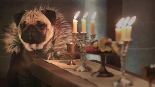 The Pugs of Westeros