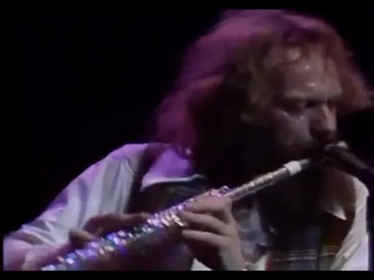 Jethro Tull. No Lullaby (Including Flute Solo) Live At Madison Square Garden 1978