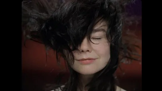 Bjork - Hidden Place