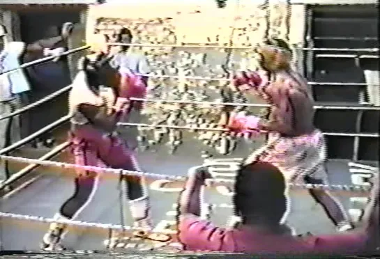 1991-04-24 Roy Jones Jr vs Lindell Holmes (sparring)