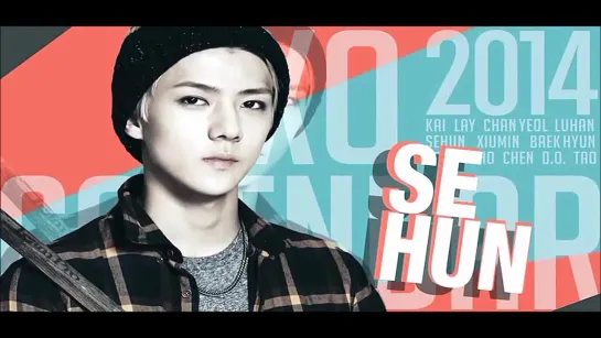 [VIDEO] Sehun cut @ EXO Season Greetings 2014 DVD