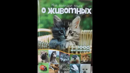 Моя большая книга о животных. 1000 фотографий - Махаон