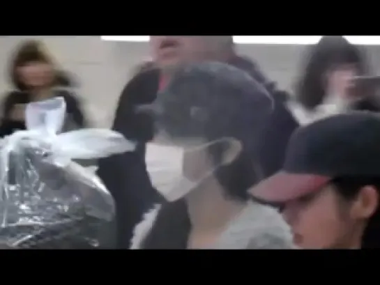 [11.12.04]  Fancams of T-ara @ Gimpo International Airport (Back to Korea)