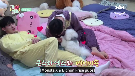 [VK][190807] MONSTA X preview ep.10 @ Monsta X's Puppy Day