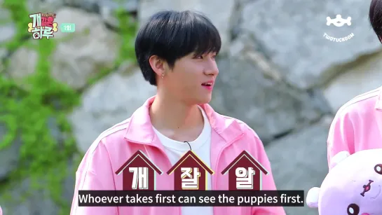 [VK][190708] MONSTA X ep.1 @ Monsta X's Puppy Day