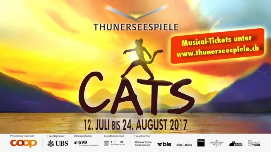 "Cats" in Thun 2017. Probe