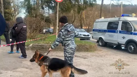 Полиция разбирается в обстоятельствах инцидента, произошедшего в Светлогорске