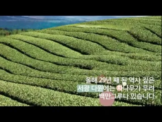 [CF] SNSD (Yoona) - Innisfree Travel Diary Video (2)